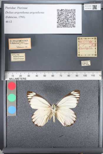 Media type: image;   Entomology 130124